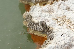 IMG_0287b